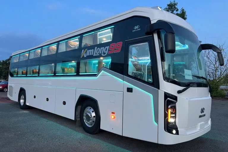 Strip Việt Nam - Hình 1