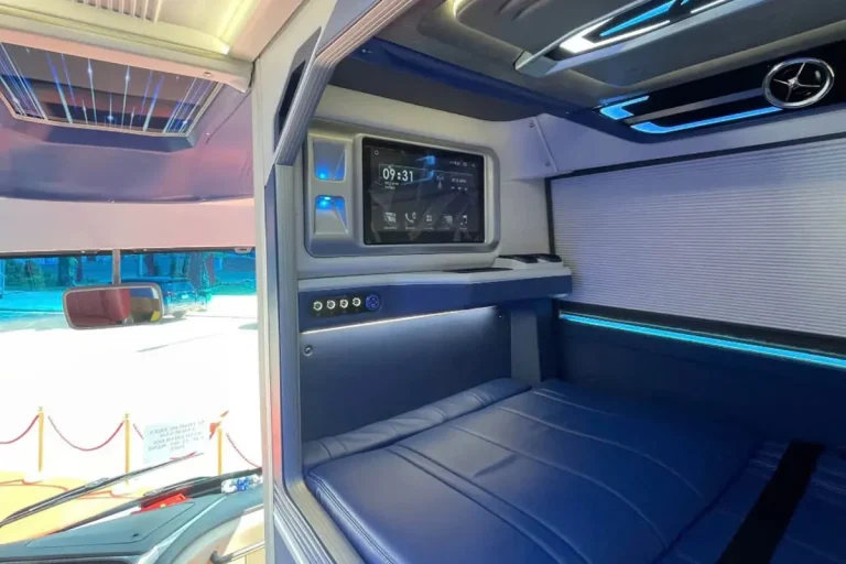 Strip Việt Nam - Hình 5