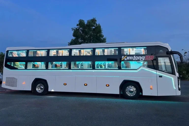 Strip Việt Nam - Hình 2