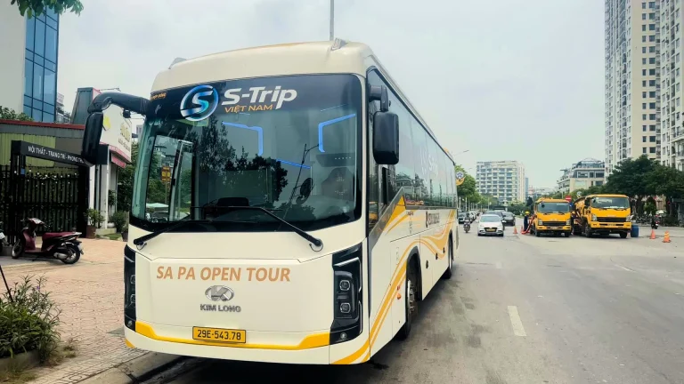S-Trip Việt Nam - Hình 2