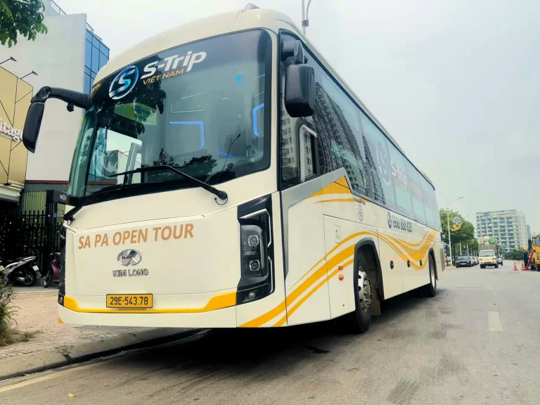 S-Trip Việt Nam - Hình 1