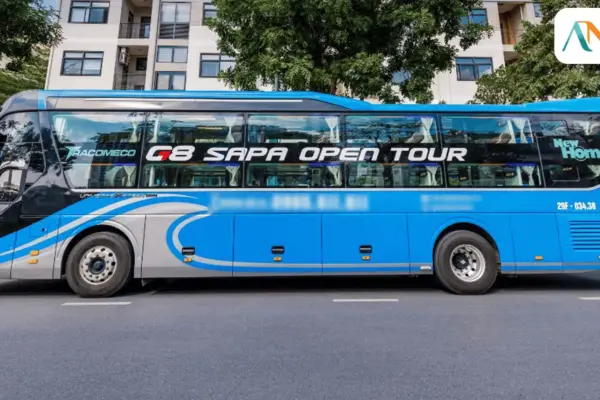 Xe Cabin VIP Hà Nội ⇌ Hà Giang | G8 Open Tour
